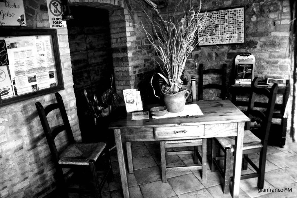 Ortezzano Agriturismo Vecchio Gelso מראה חיצוני תמונה