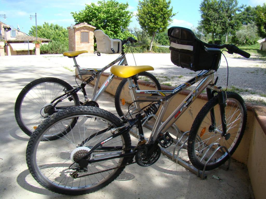 Ortezzano Agriturismo Vecchio Gelso מראה חיצוני תמונה