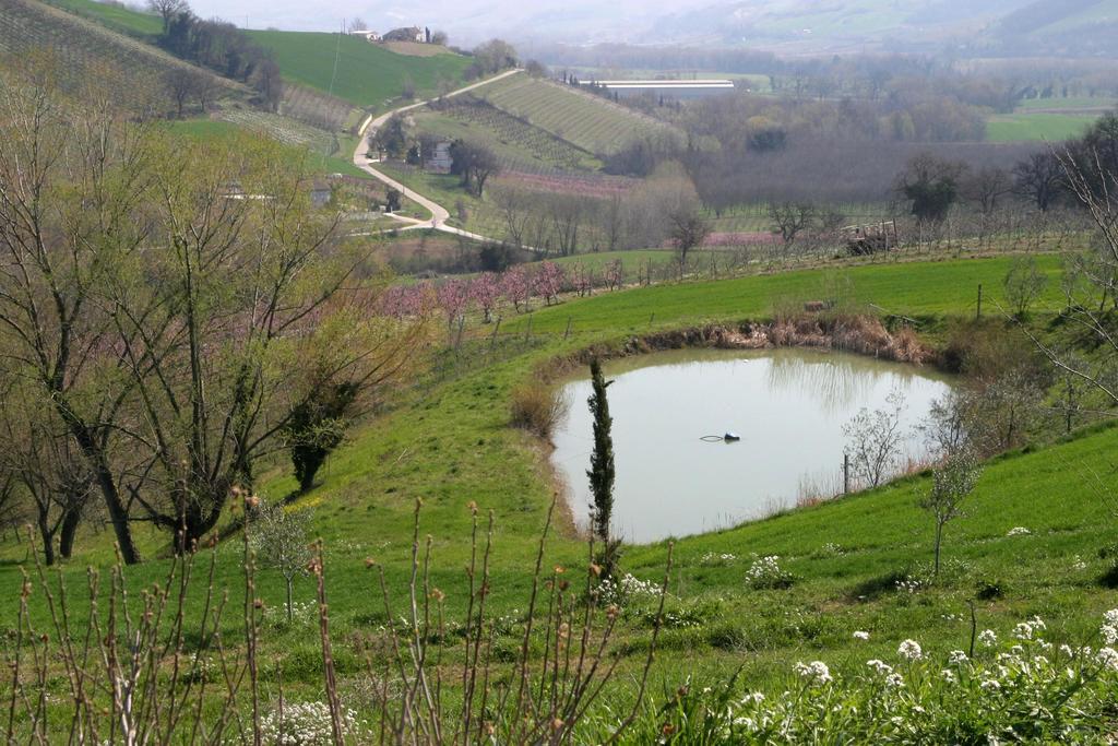 Ortezzano Agriturismo Vecchio Gelso מראה חיצוני תמונה